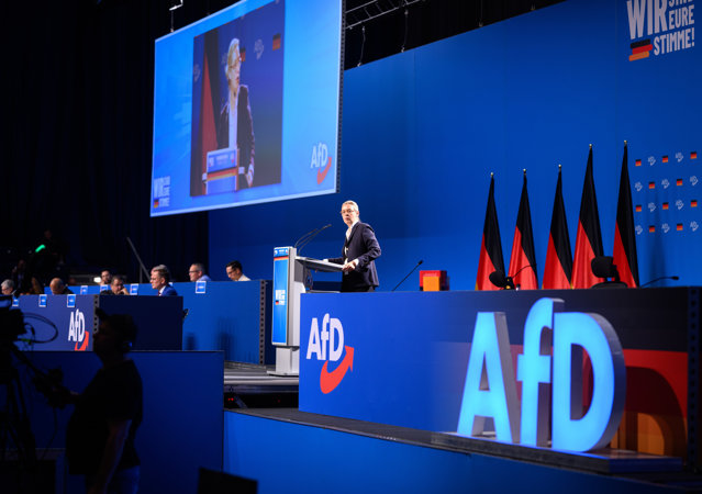 Ancheta politieneasca dupa pliante AfD pentru deportare