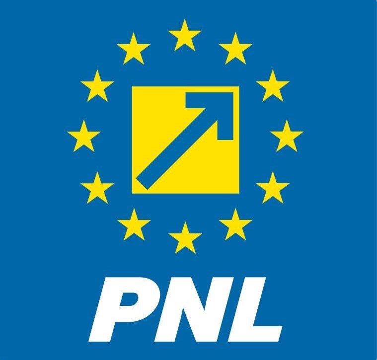PNL Suceava il exclude pe primarul Radauti