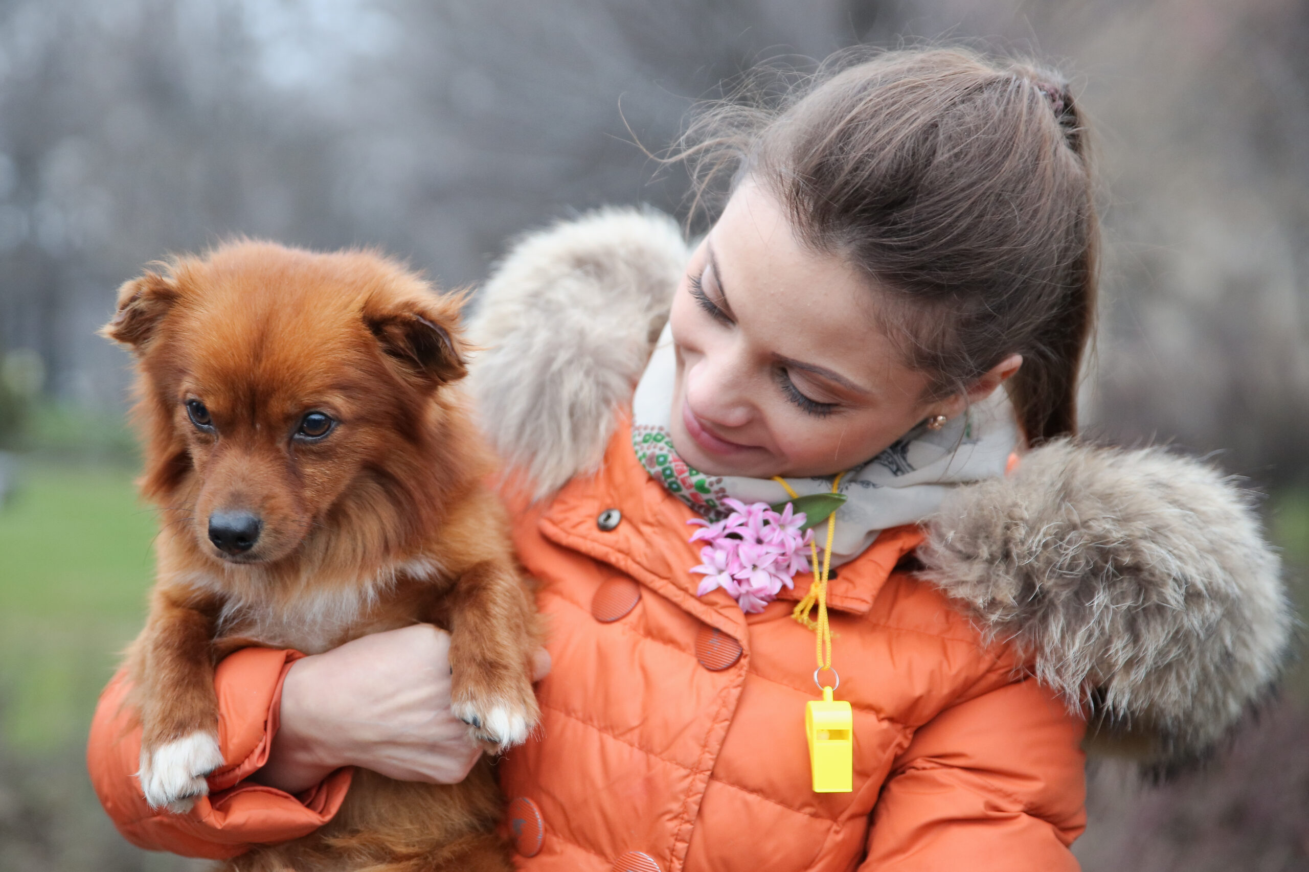 Parlamentul propune sterilizarea obligatorie a cainilor