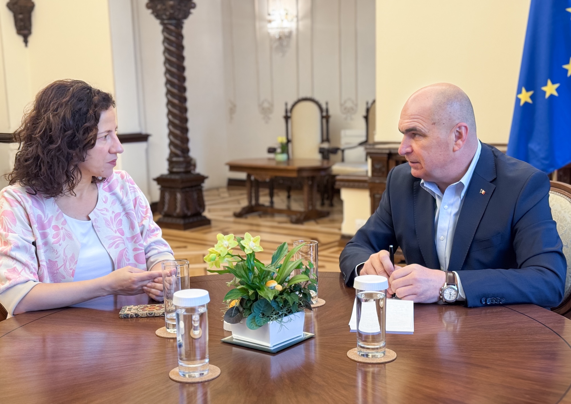 Ilie Bolojan si Roxana Minzatu au discutat despre strategia Marii Negre si aparare