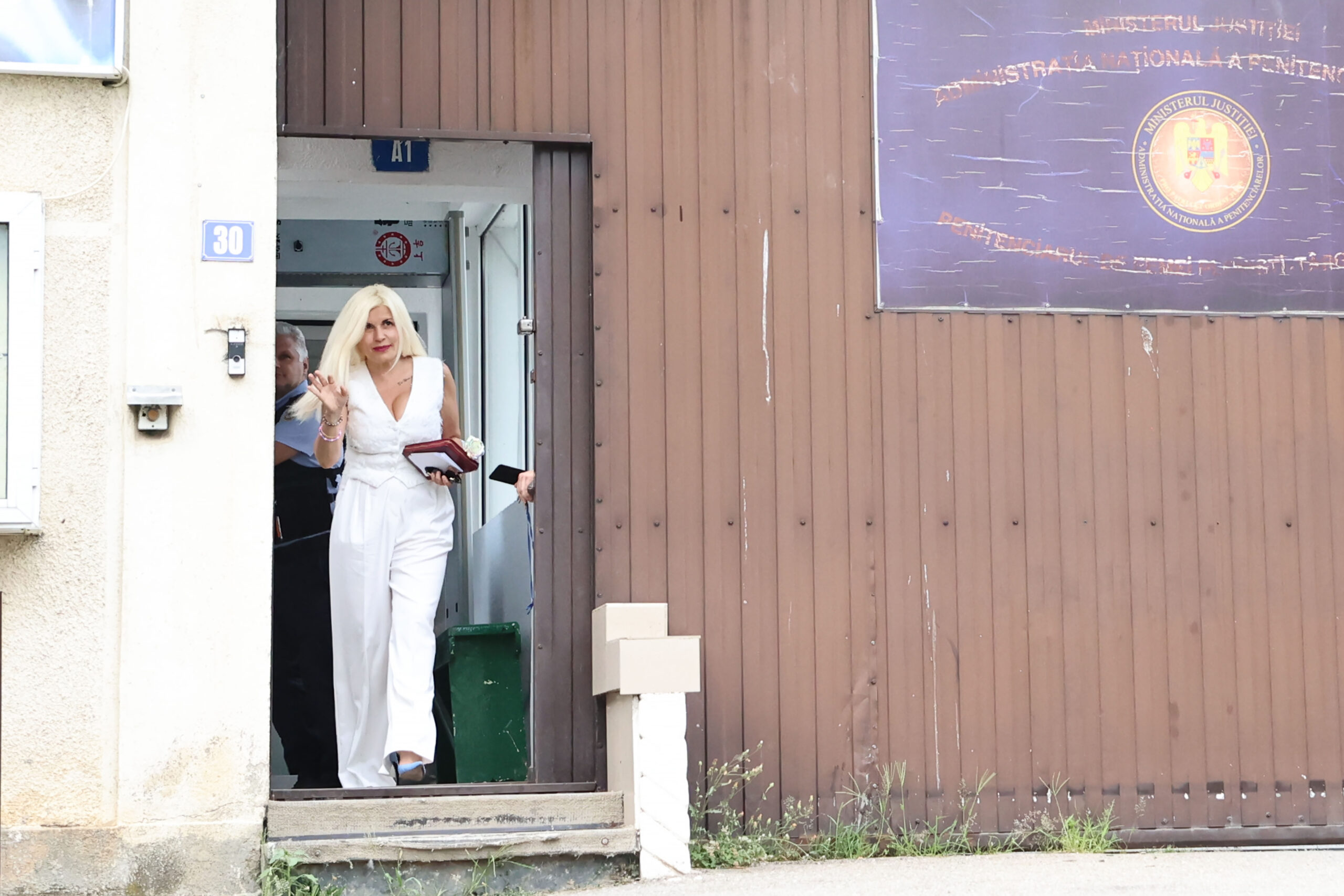 Ce planuri de viitor are Elena Udrea