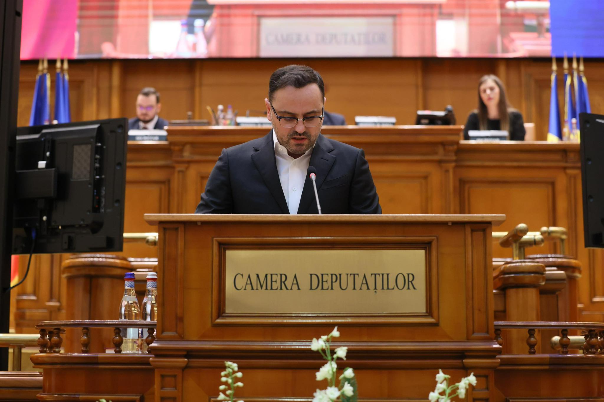 Deputat PSD din Arges invita ministra Mediului sa vada problema ursilor
