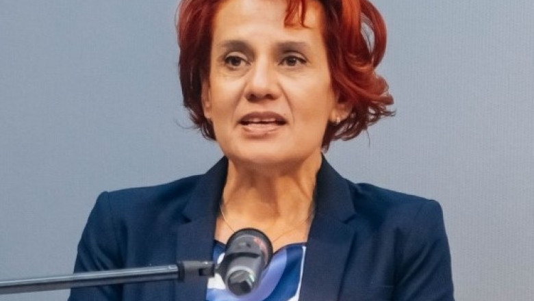 Guvernul are un nou purtator de cuvant Ioana Dogioiu il inlocuieste pe Mihai Constantin