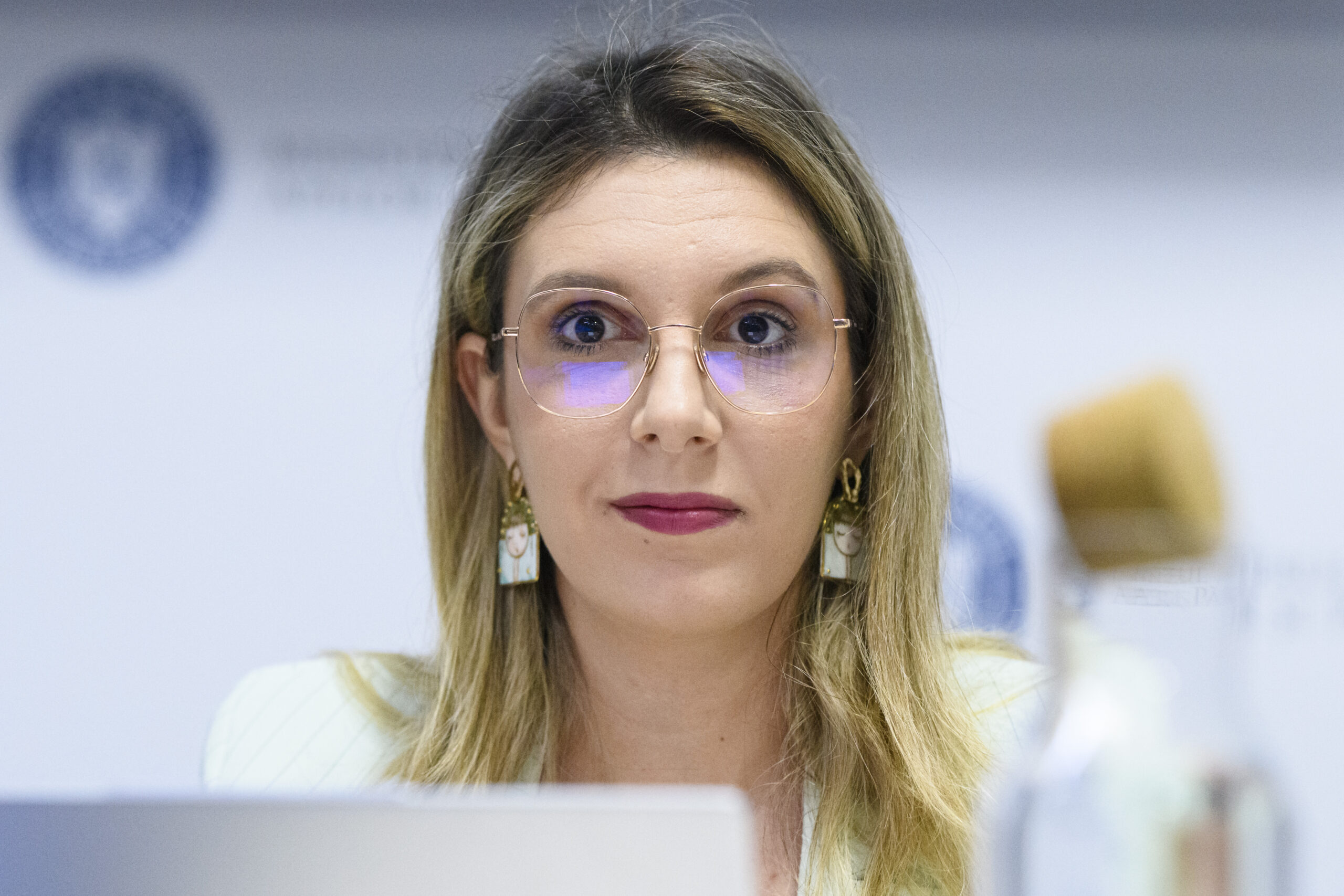 Asteptarile ministrului Mediului de la noul director Romsilva
