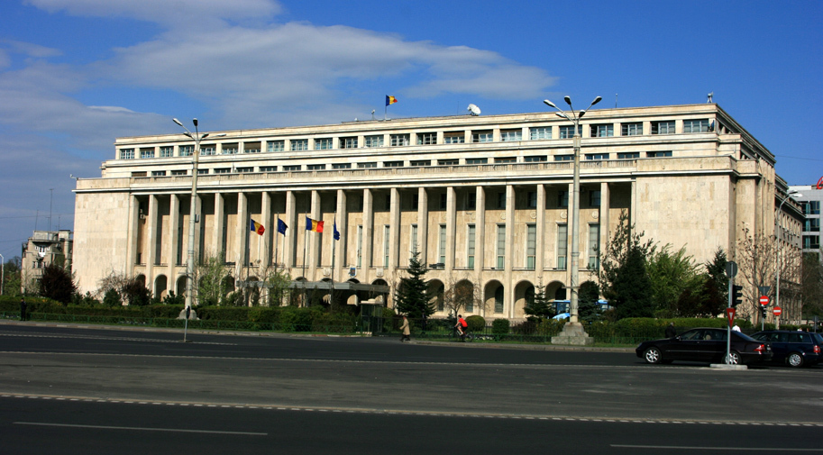 Guvernul declara 7 august zi de doliu national
