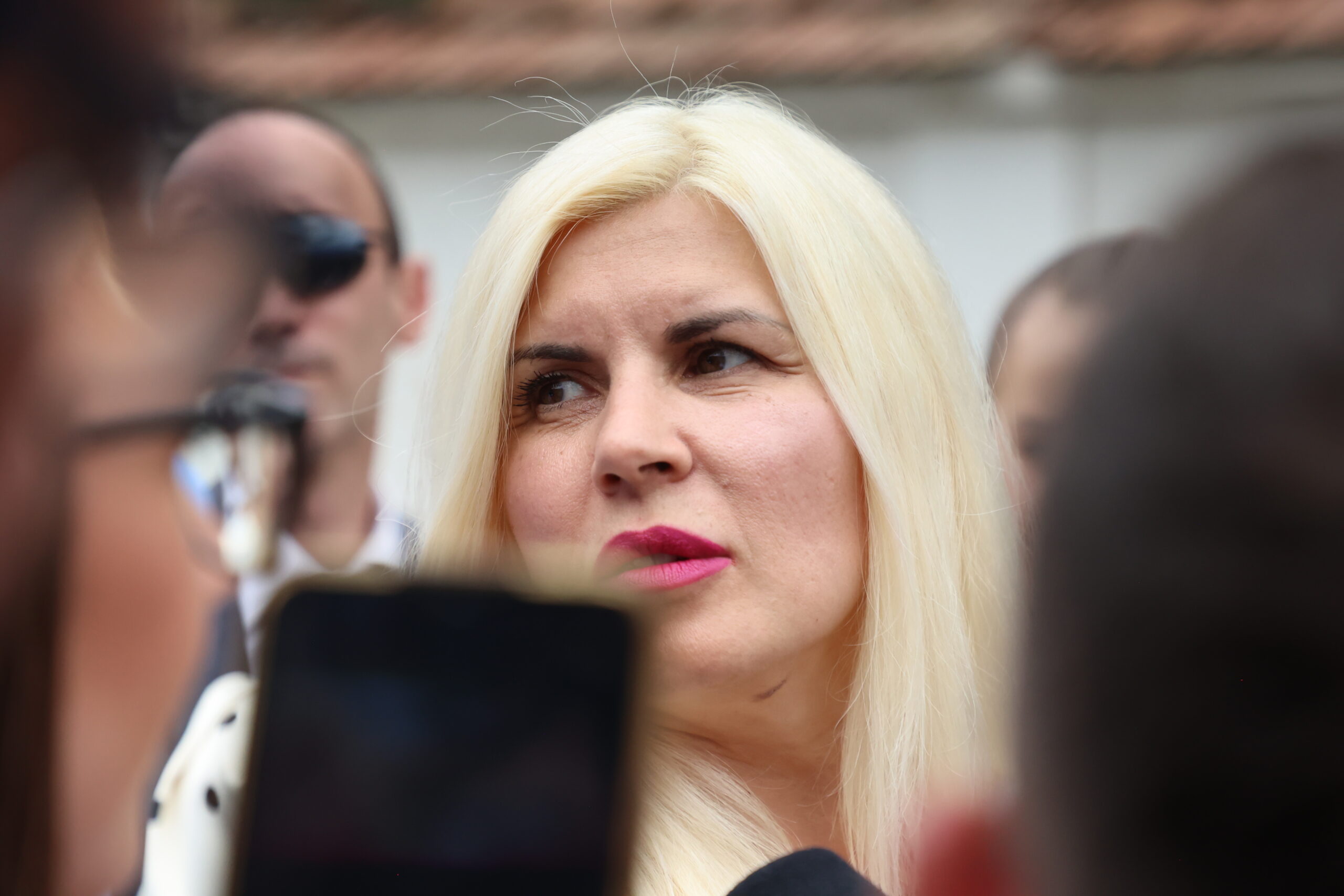 Premonitia Elenei Udrea CCR va sprijini Guvernul Bolojan ramane