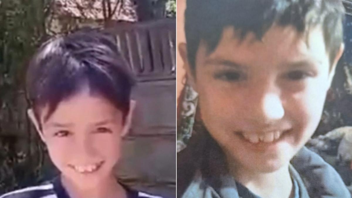 Ro Alert emis in cinci judeze dupa disparitia lui Madalina 11 ani
