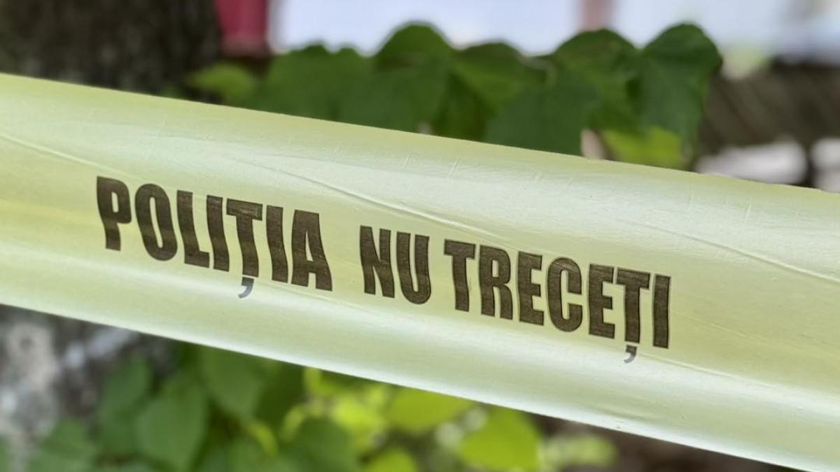 tragedie in drobeta turnu severin profesoara si fiul spanzurati