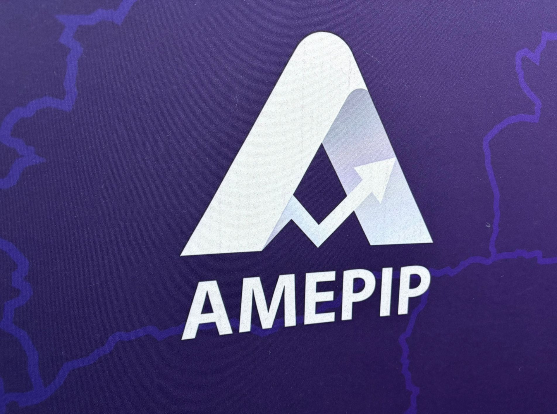 Cine sunt membrii conducerii AMEPIP