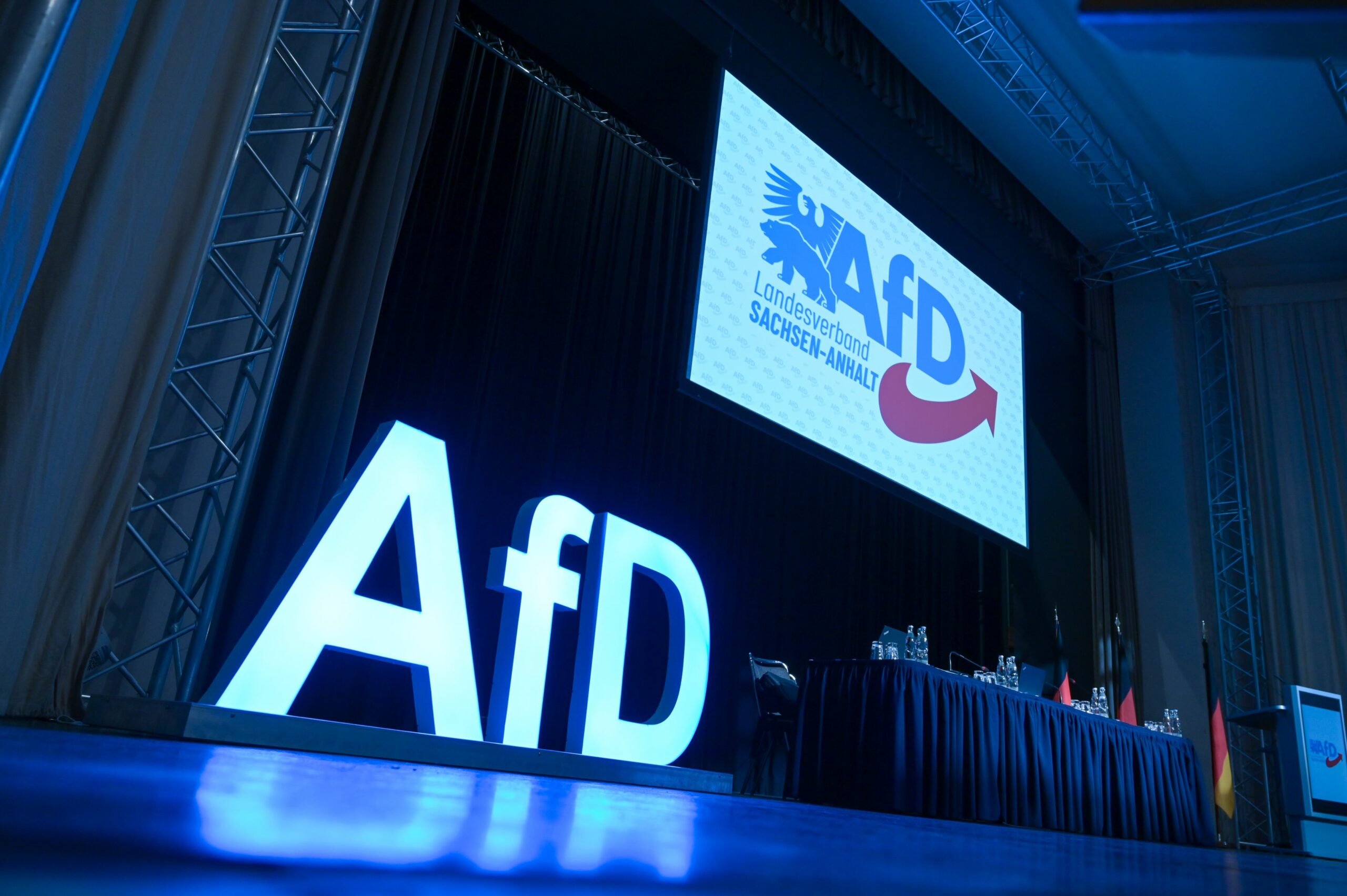 AfD incepe sa se despinda de Trump in contextul reactiilor negative din Germania