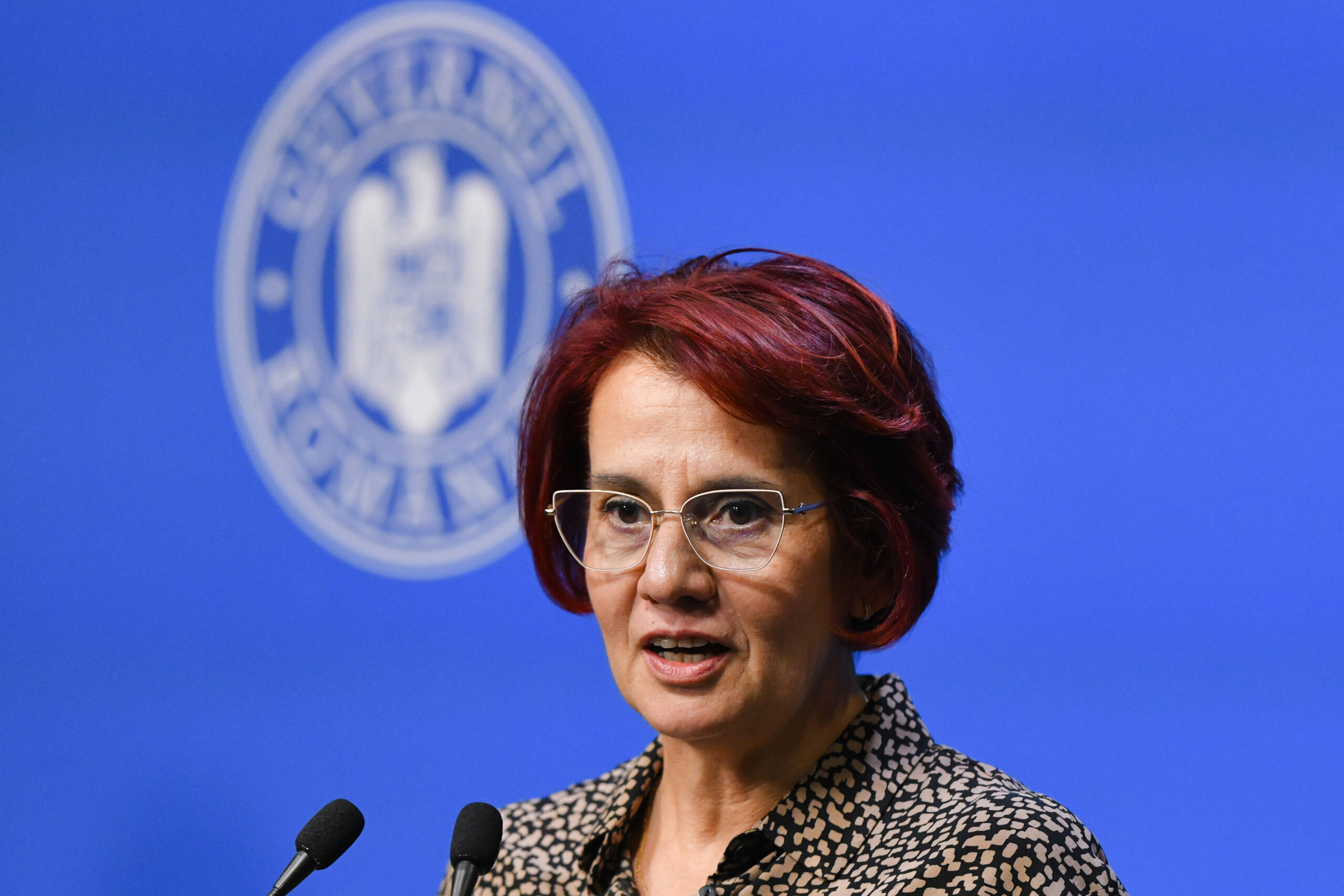 Dogioiu afirma ca Guvernul va lua in considerare taierile de cheltuieli realizate anul trecut de catre institutii