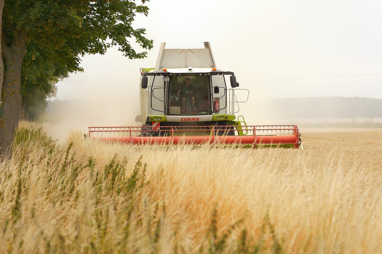 AUR a initial un proiect de lege pentru restrictionarea achizitionarii terenurilor agricole de catre investitori straini