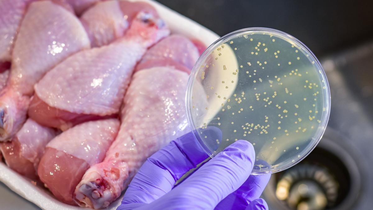 Alerte alimentara in Buzau carne tocata de pui posibil contaminata cu Salmonella retrasa din