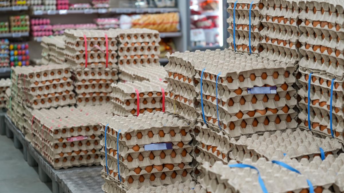 Alert sanitar nainte de Pate 1 5 milioane de ou contaminate cu Salmonella n Vaslui