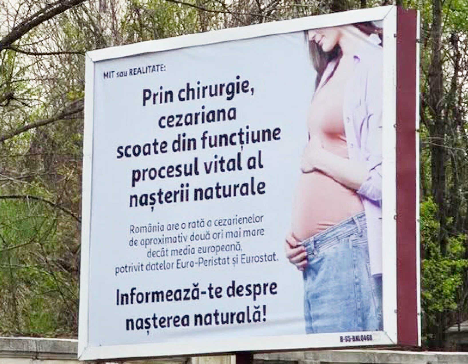 n 2026 aa ceva Senatoarea Cynthia Paun solict interventie de urgenta in urma apariiei unor panouri controversate