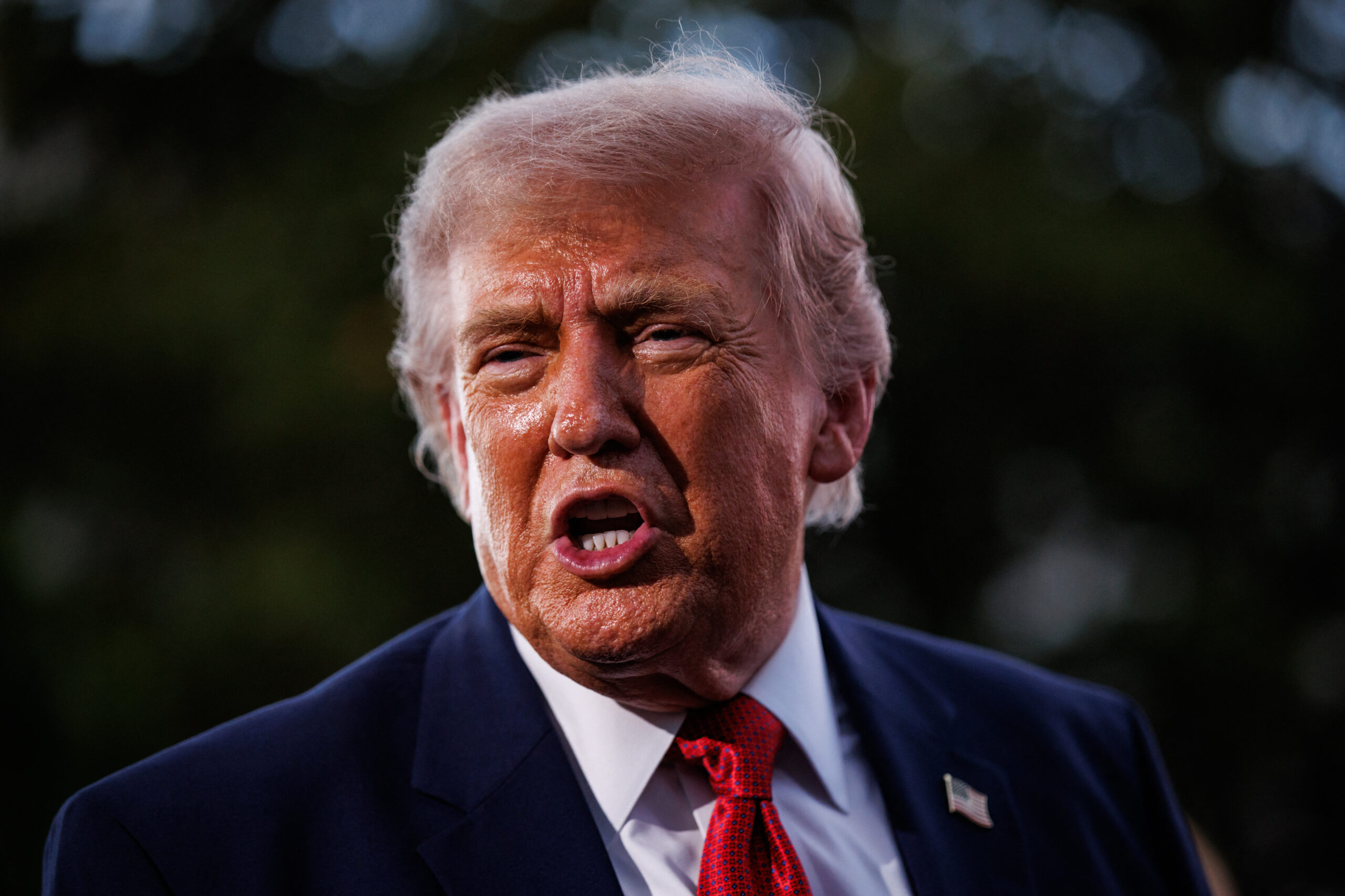 Baluta anunta ca noul parc din Sectorul 4 va fi denumit Donald Trump dupa votul online