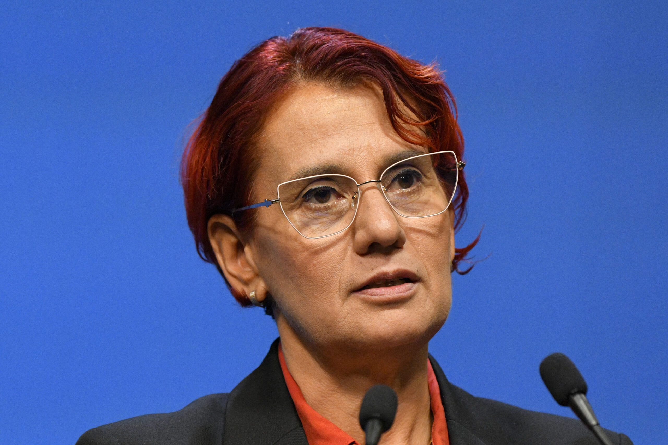 Ioana Dogioiu despre conexiunea dintre Ilie Bolojan si fratii Micula Declaratii politice lipsite de fundament
