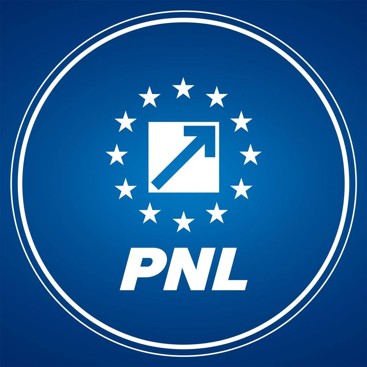 PNL solicta PSD sa propuna un premier sau sa accepte ca nu poate guverna Romania