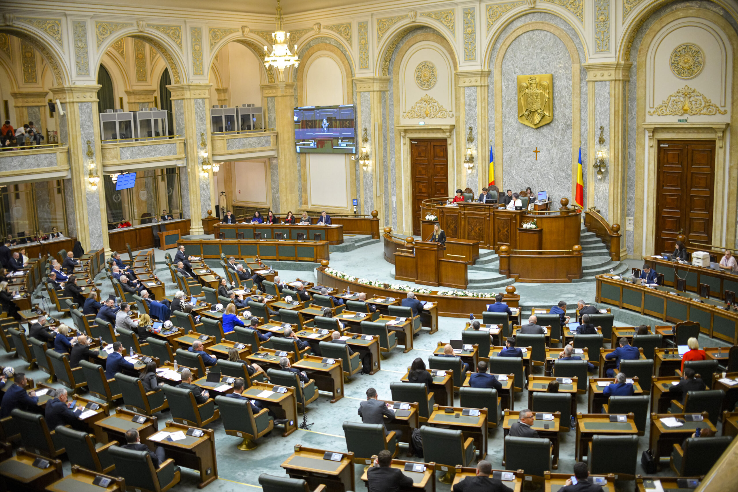 Senatul a rejectat propunerea USR pentru sporirea transparentei concursurilor din spitale