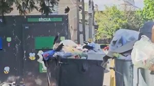 stare de alerta in bacau 65 de localitati acoperite de desuri nu pot justifica cheltuielile cu