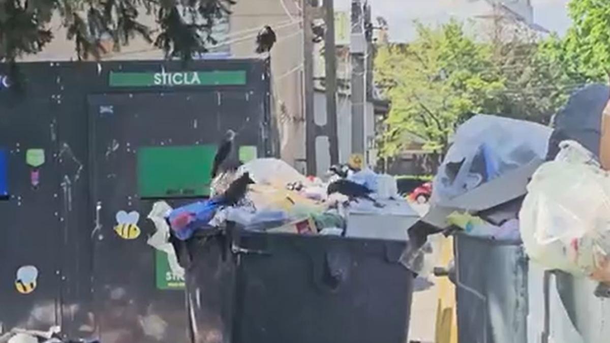 stare de alerta in bacau 65 de localitati acoperite de desuri nu pot justifica cheltuielile cu