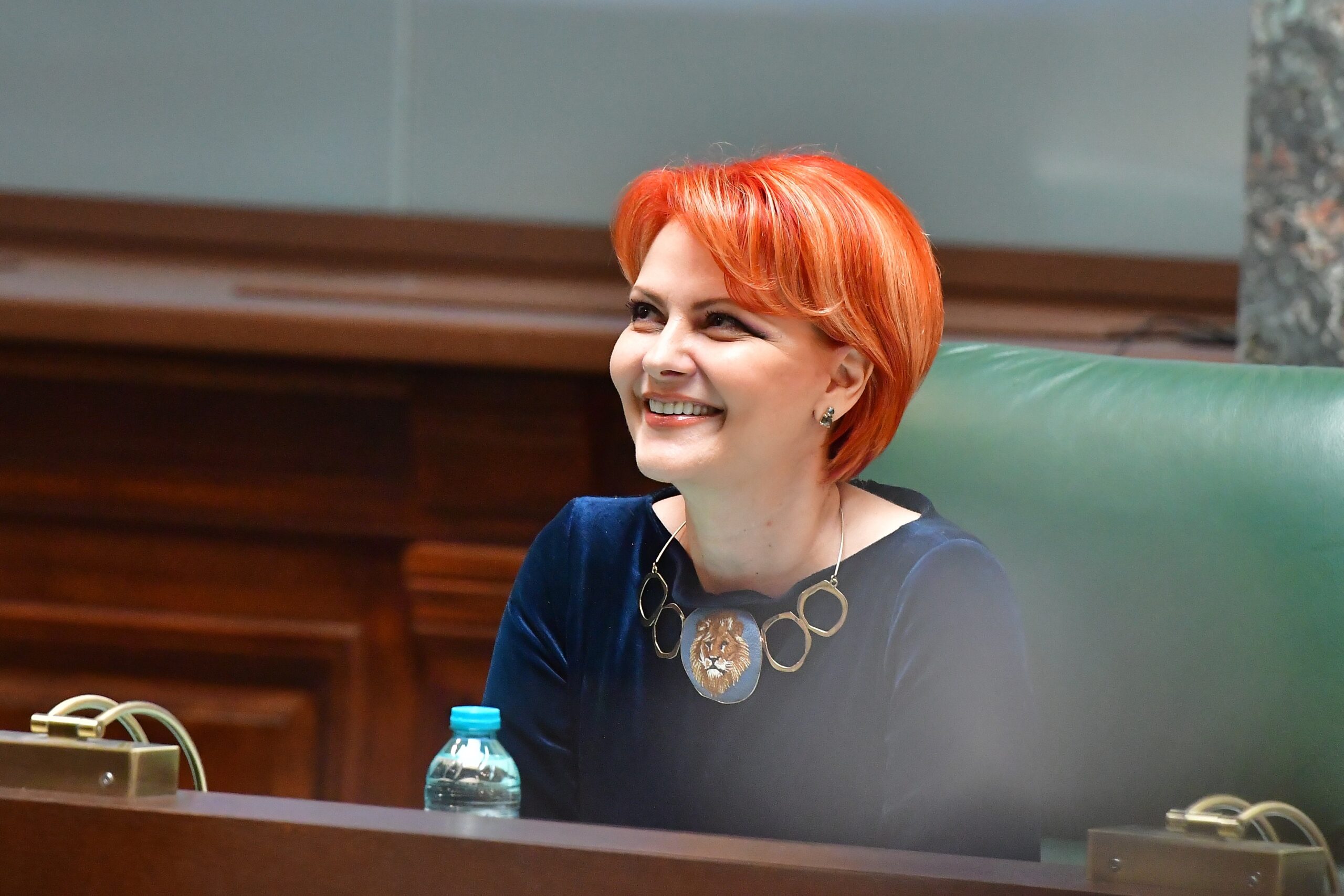 Olgua Vasilescu Am ramas cu Bolojan deasupra AUR a pierdut oportunitatea de a fi la guvernare