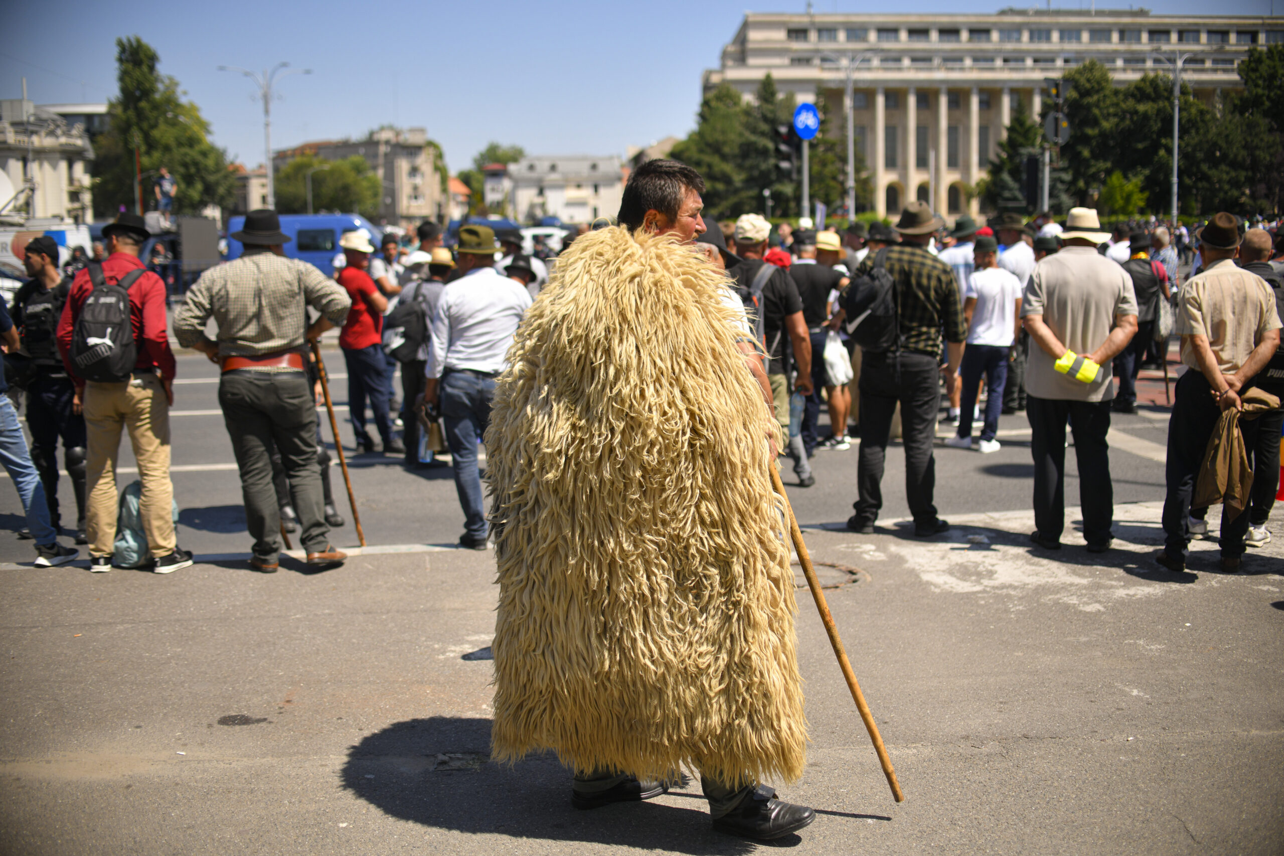 Victor Negrescu solicită ajutor european pentru crescătorii de ovine și caprine afectați de restricții 2 Victor Negrescu solicta ajutor european pentru crescatorii de ovine si caprine afectati de restrictii