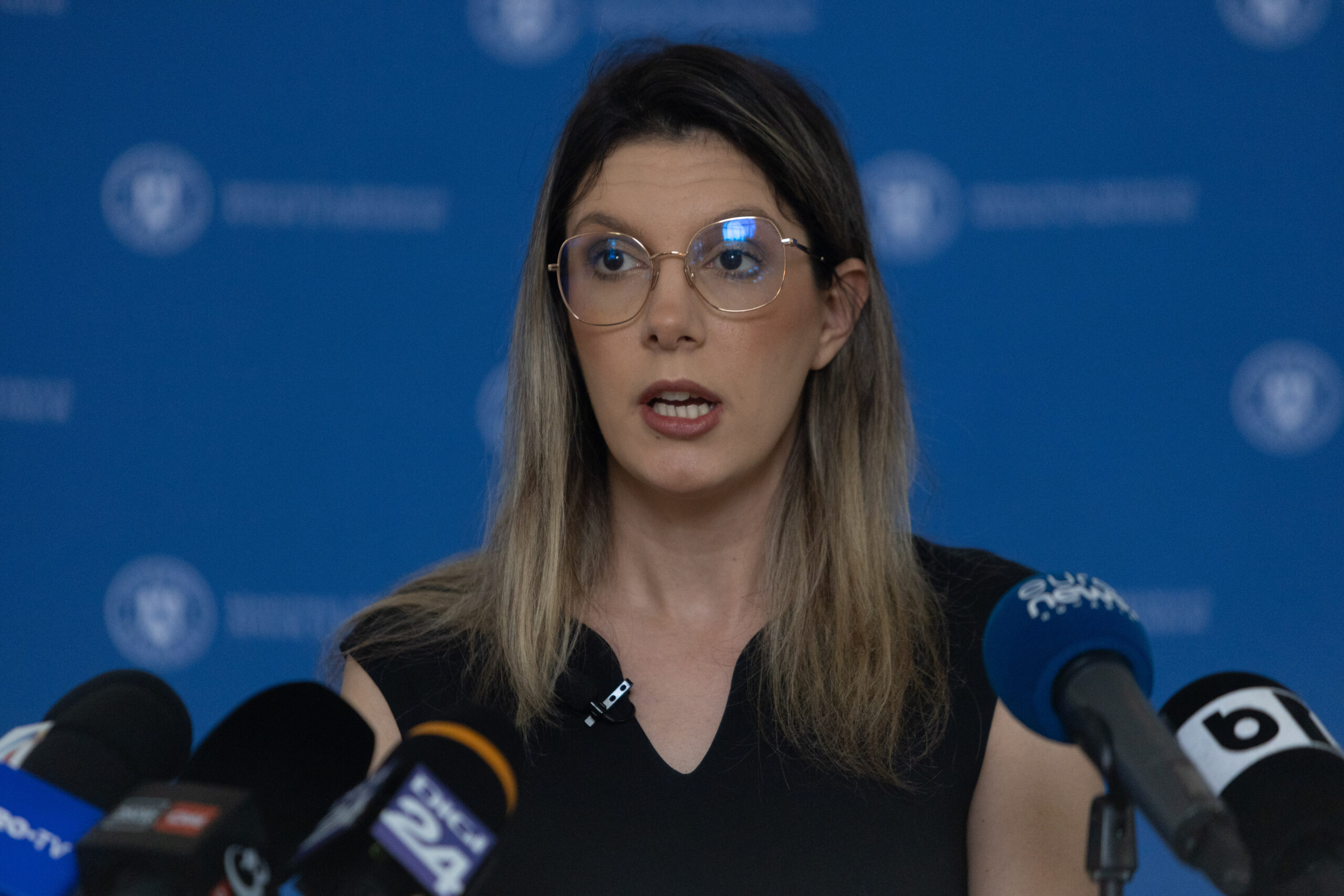 Diana Buzoianu anunta un program de 400 de milioane de lei pentru baterii sprijin de pana la 15000 de lei pentru un sistem