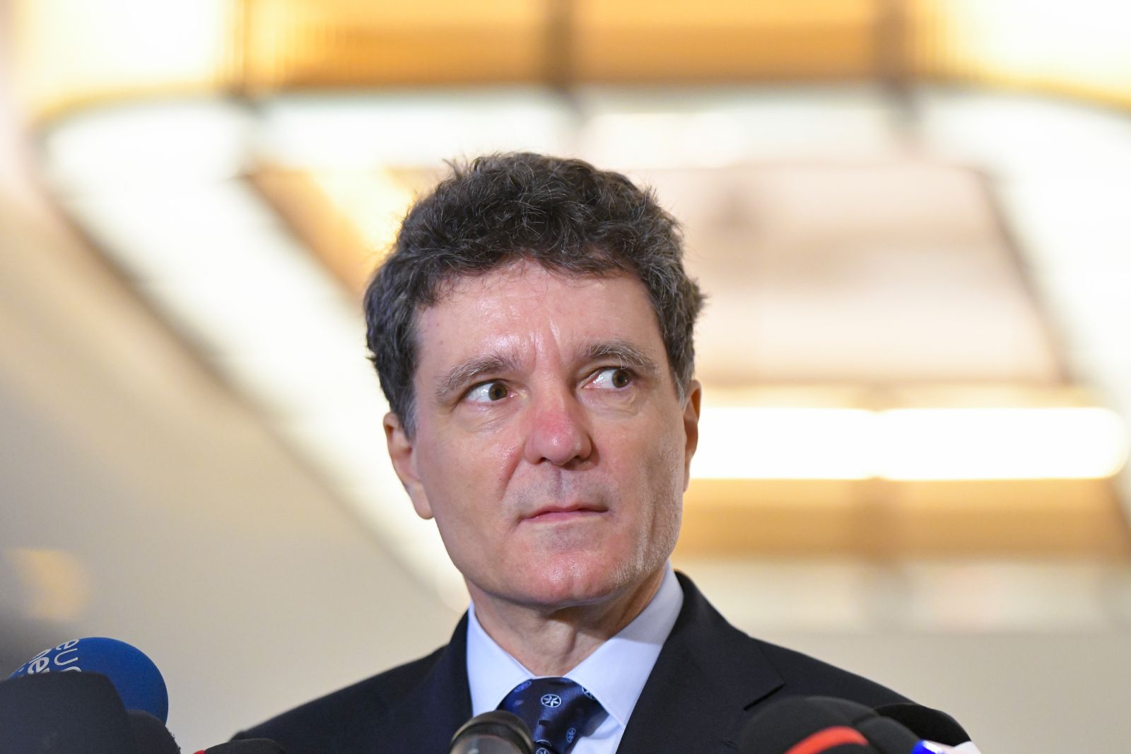 Nicusan Dan contesta la CCR noua lege ANI Presedintele contesta obligatia partenerilor demnitarilor de a si declara averile