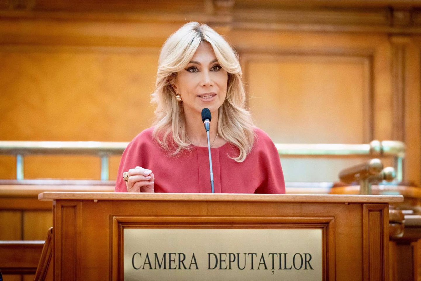 Turcan: „Lucrurile bune nu se fac pe fugă”. Proiect de lege pentru admiterea la liceu în noul sistem. 2 Turcan Lucrurile bune nu se fac pe fuga Proiect de lege pentru admiterea la liceu in noul sistem