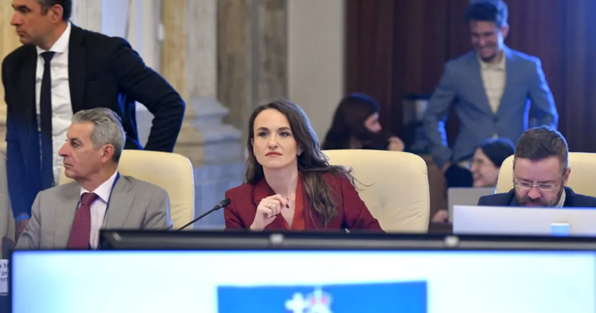 Oana Țoiu: Avizul favorabil pentru Externe e semn de încredere în politica externă