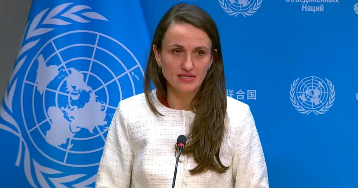 Oana Țoiu: Susținem un armistițiu pentru protejarea rutelor din Marea Neagră