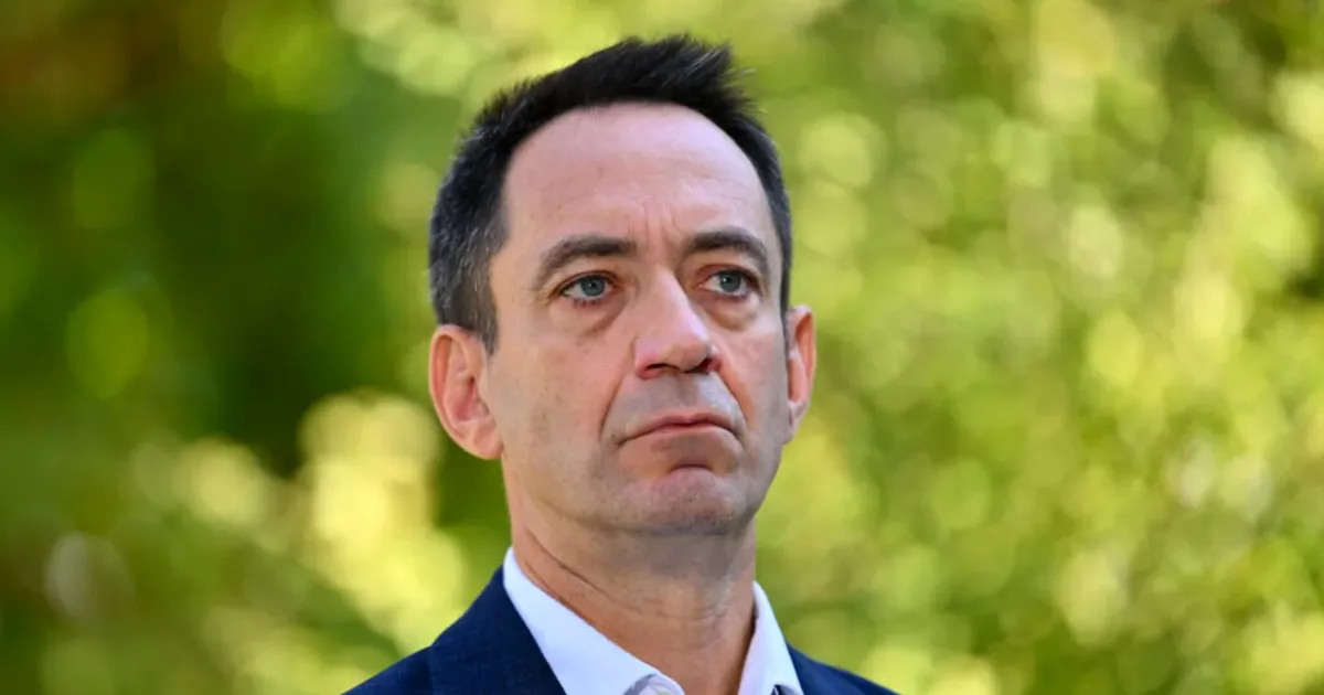 Cabinetul lui Luca Niculescu. Anunțul decisiv făcut de un lider UDMR