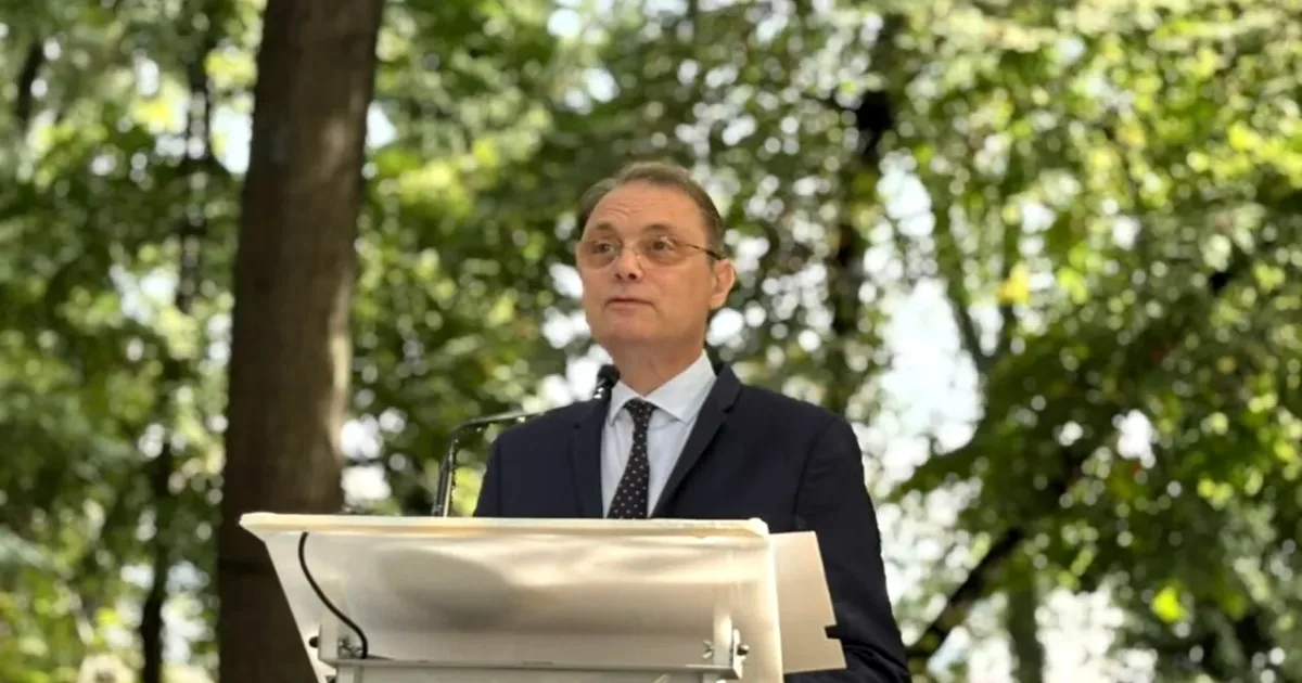 „Guvernul bărbaților”: Nicio femeie între miniștrii vehiculați pentru Cabinetul Niculescu