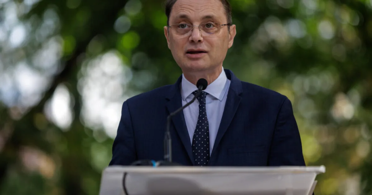 Niculescu, despre șansele guvernului său: Destul de mari la învestire