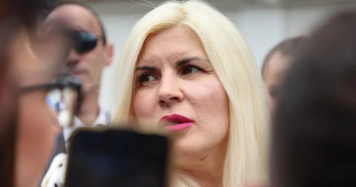 Udrea: Cristela Georgescu ar putea candida la prezidențiale, cu voturile soțului